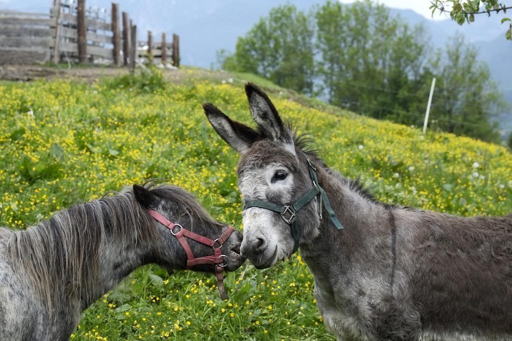 Christernhof Villa Maria Alm am Steinernen Meer Ngoại thất bức ảnh