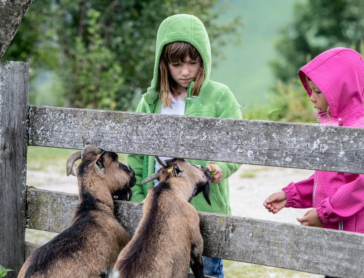 Christernhof Villa Maria Alm am Steinernen Meer Ngoại thất bức ảnh