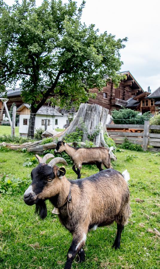 Christernhof Villa Maria Alm am Steinernen Meer Ngoại thất bức ảnh